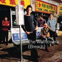The Wallflowers : Breach